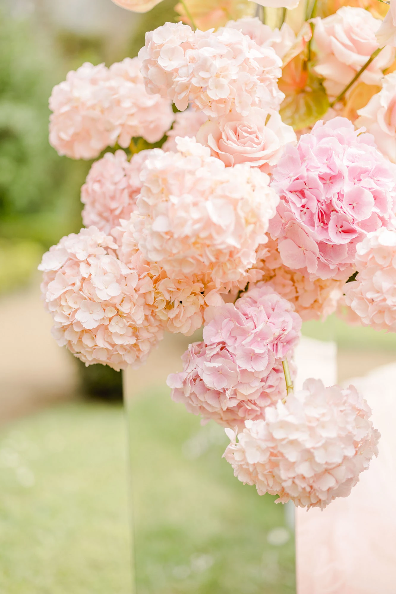 fleur pétale rose composition florale gris